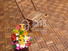 acacia deck wood flooring interlocking acacia deck tile JIABANG