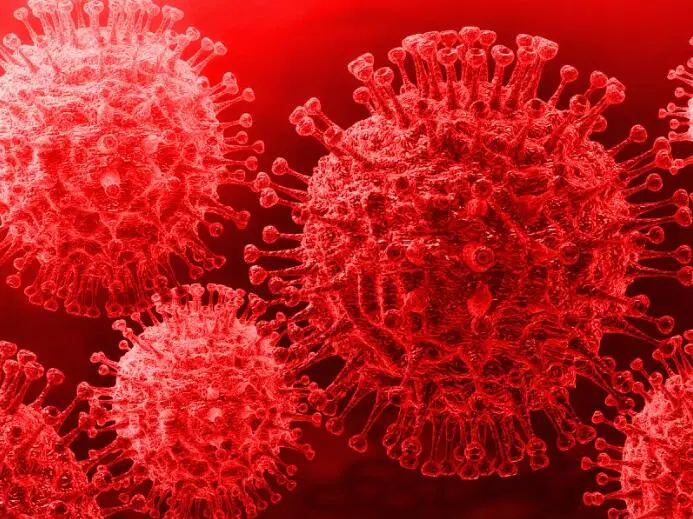 How to prevent Novel coronavirus pneumonia(NCP)