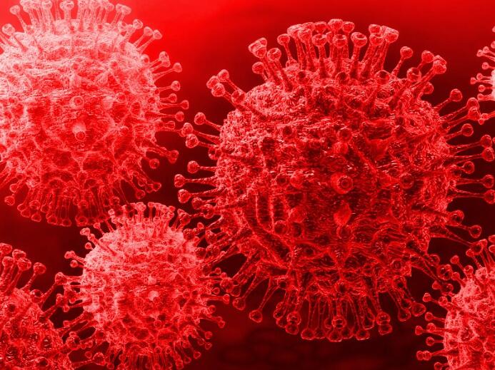 Novel coronavirus pneumonia